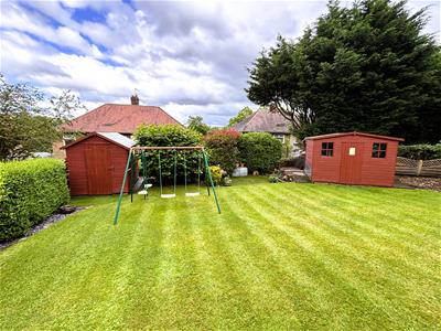 Picture 41